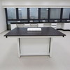 Chemical Resistant Phenolic Compact Laminate Countertop HPL Laboratory Table Top