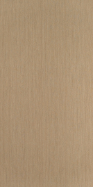E229005