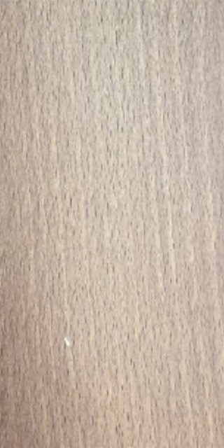 Simple-Beech