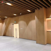 HPL Solid Color Wall Panels Wall Design for Hospital