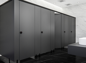 Compact Fiberboard, an Alternative of Compact Laminate HPL Panel.jpg