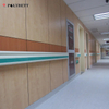 A Grade Flame Retardant Wall Cladding Panel Sysytem for Hospital