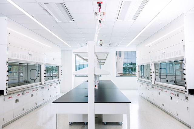 Laboratory Worktop & Cabinet