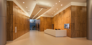 Lamboo &reg; Surface ™ by Lamboo Technologies LLC Media - Photos and Videos - 1 Arch.jpg